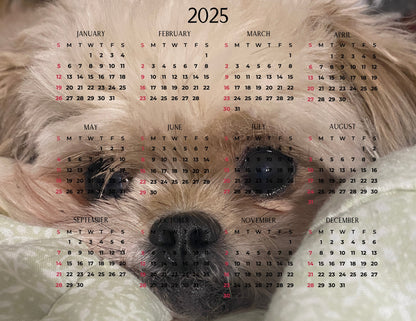 Calendar Magnet 3 - Upload your own image