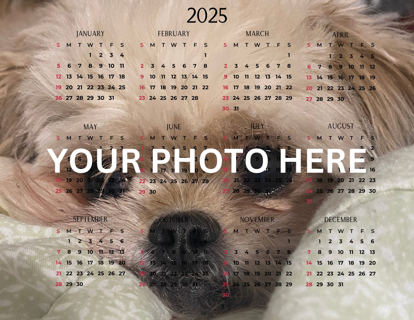 Calendar Magnet 3 - Upload your own image