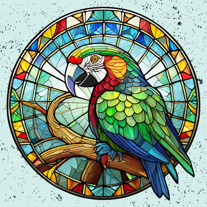 Magnets - Parrot Gallery A