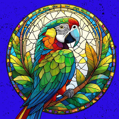 Magnets - Parrot Gallery A