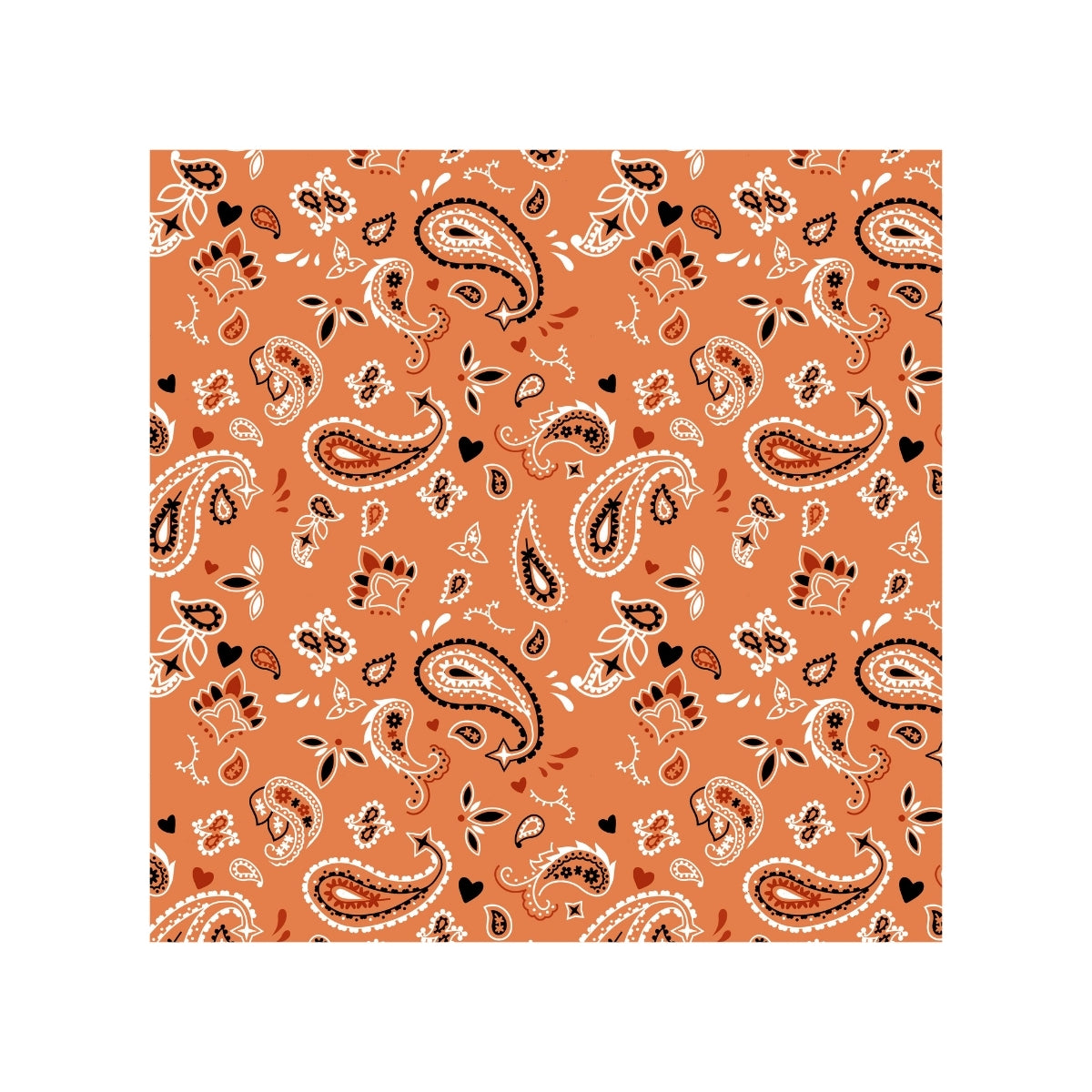 Magnets - Paisley Bandana Gallery A