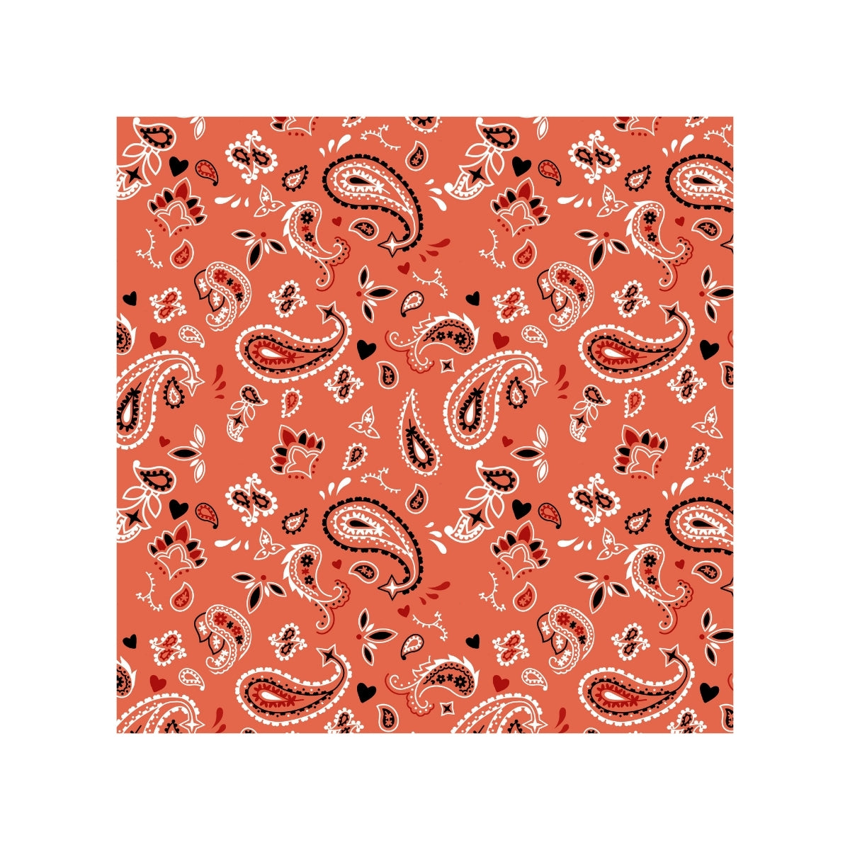 Magnets - Paisley Bandana Gallery A