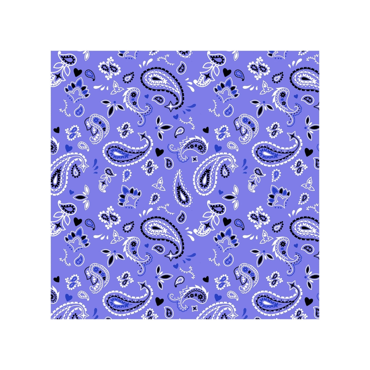 Magnets - Paisley Bandana Gallery A