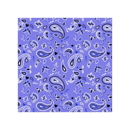 Magnets - Paisley Bandana Gallery A