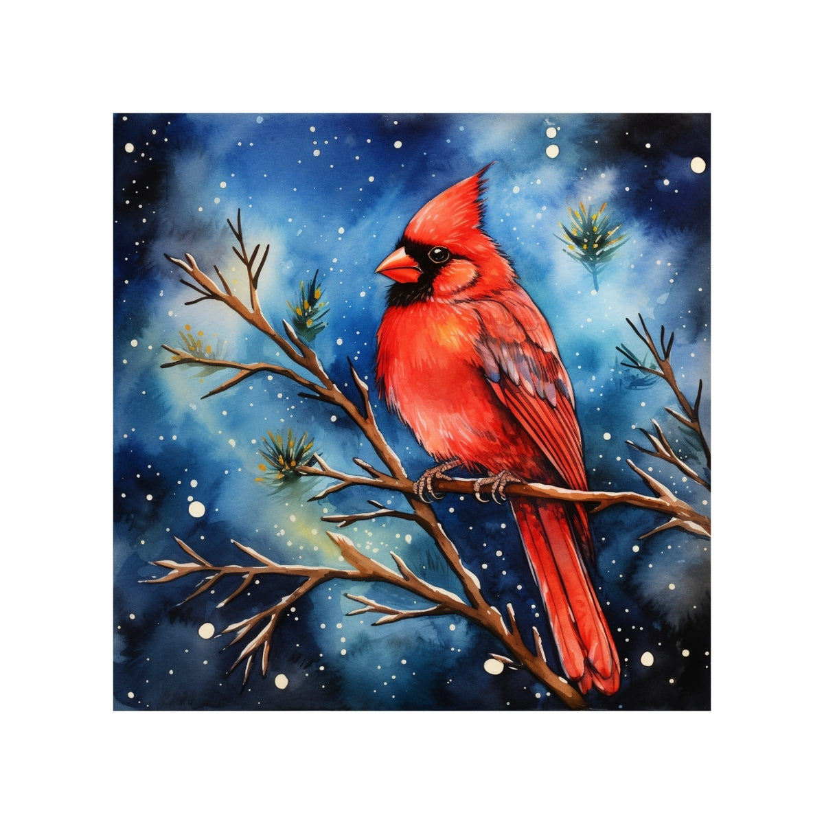 Magnets - Cardinal Gallery A