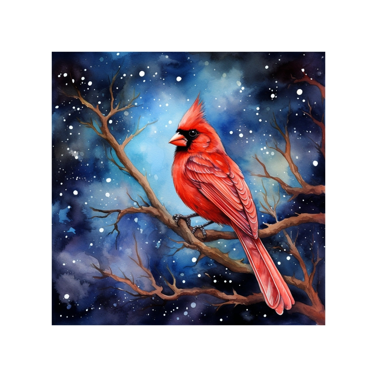 Magnets - Cardinal Gallery A