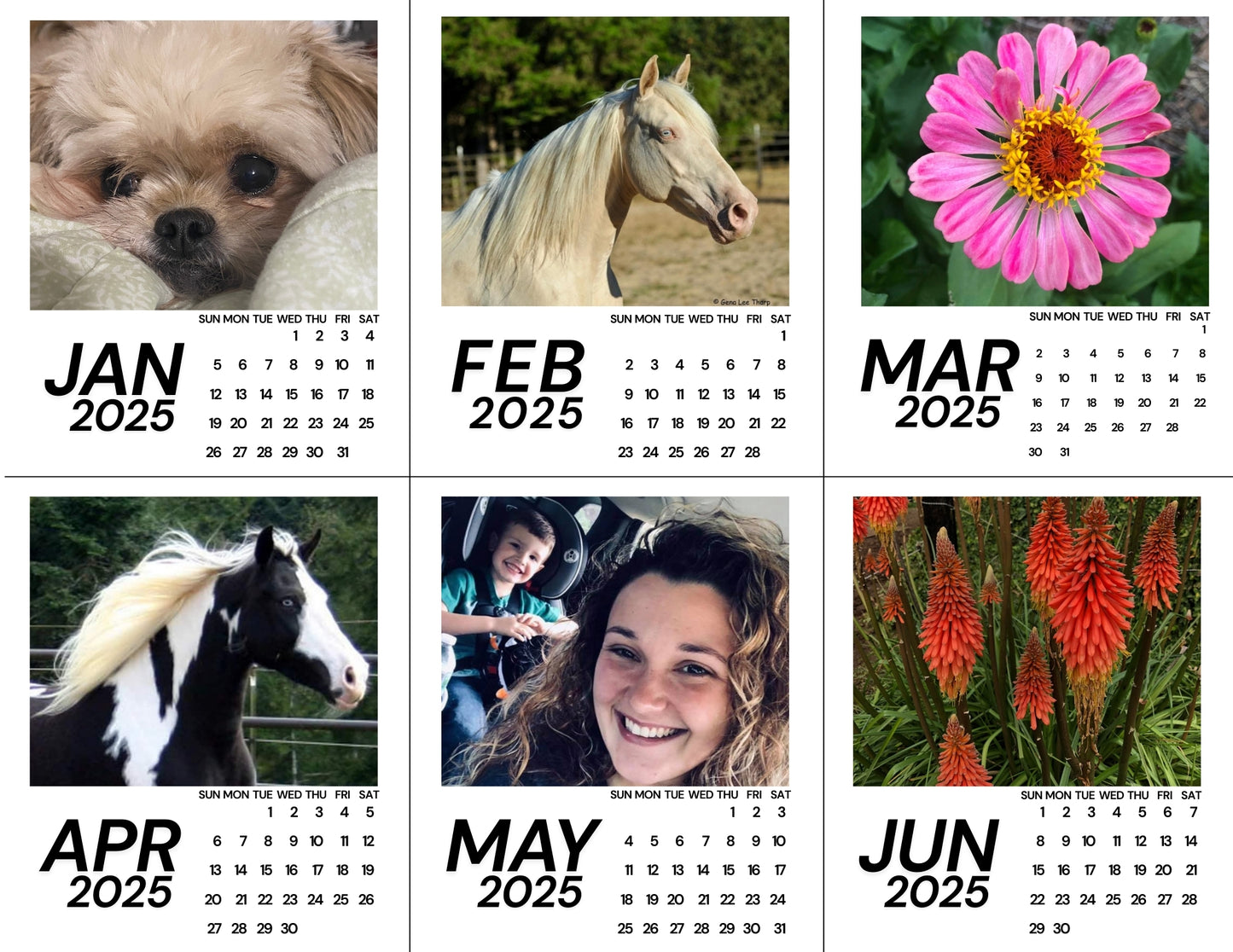 12 Individual Calendar Magnets - Upload 12 of your own images