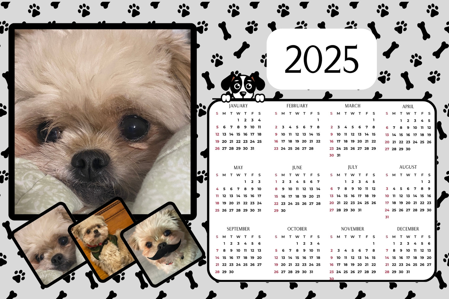 Calendar Magnet - Puppy - Upload your own images