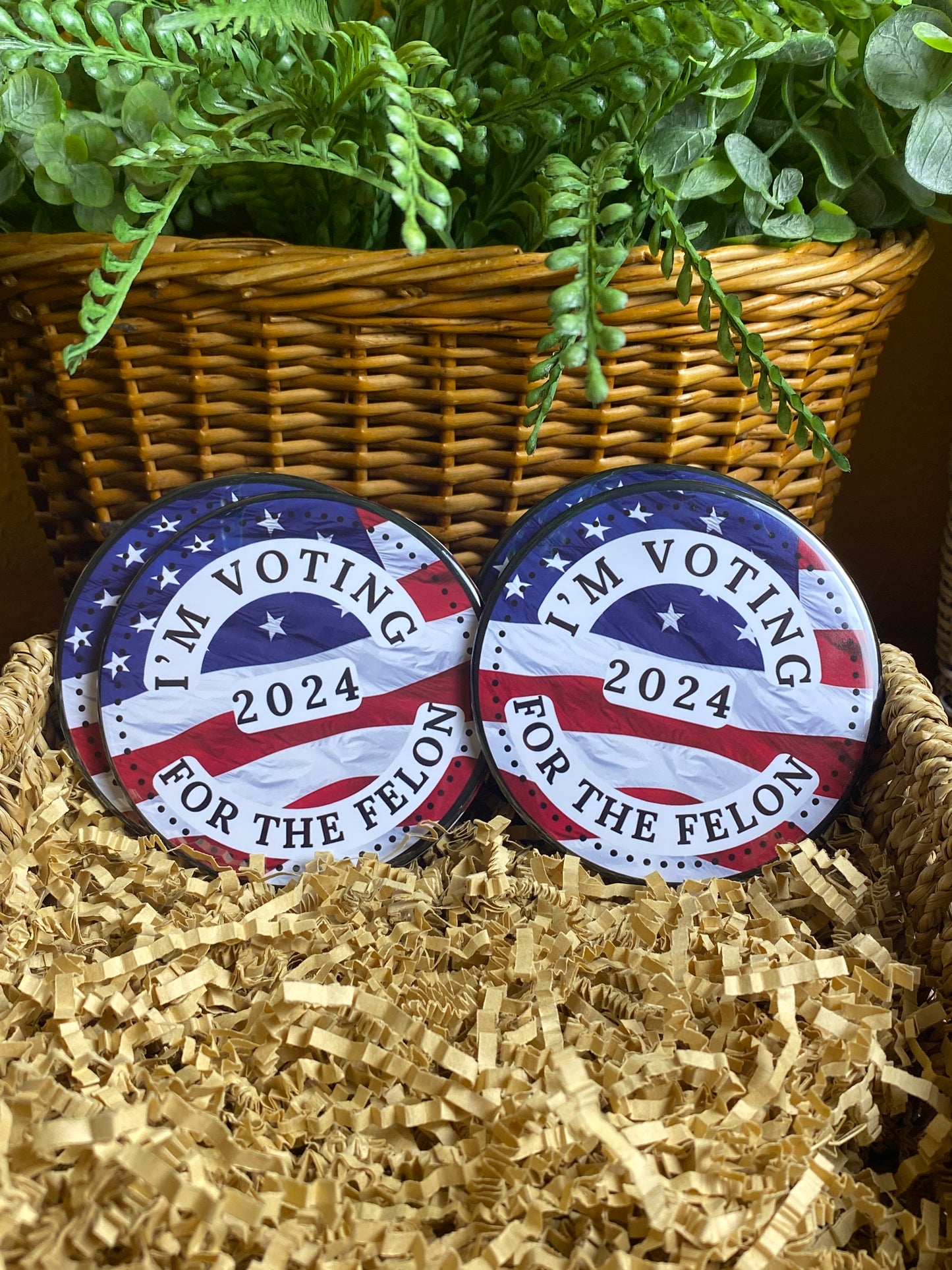 Coaster Set of 4  - I'm Voting for the Felon