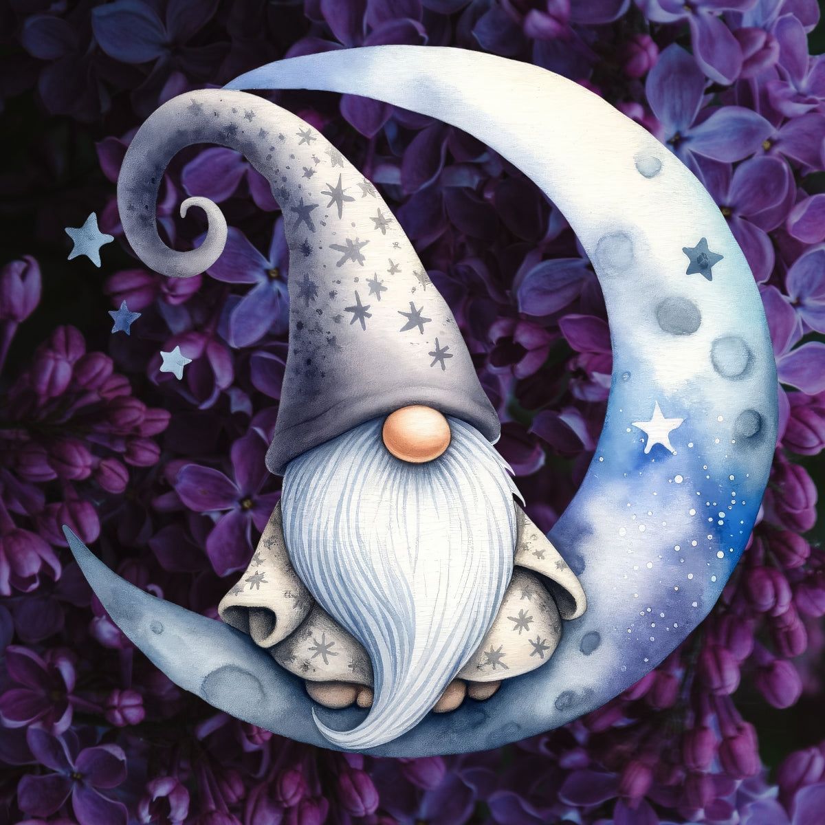 Magnets - Gnomes Moon Gallery A