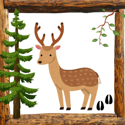 Magnets - Woodland Animal Gallery A